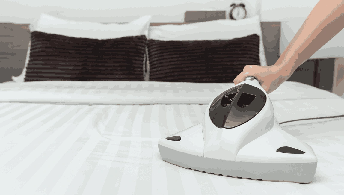Professional Mattress Cleaning Mollongghip